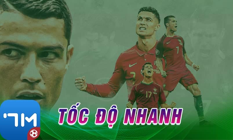 Bongdaso là một công cụ tìm kiếm hiện đại và thông minh 