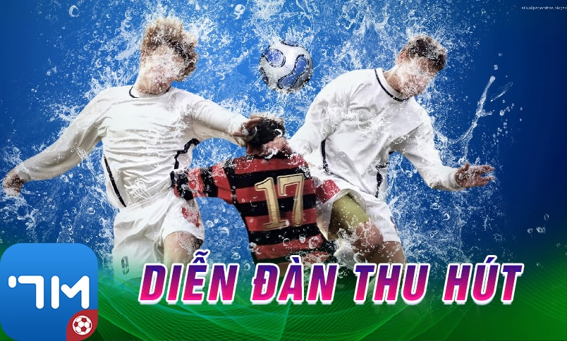 Chuyên mục tìm kiếm đa dạng nội dung 