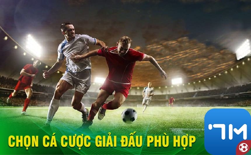 Chọn cá cược giải đấu phù hợp