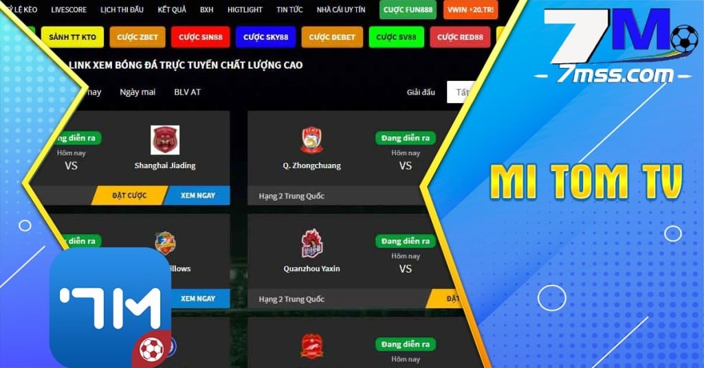 Những gì bạn cần biết về Mi tom TV