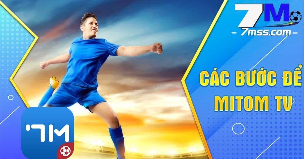 Cách sử dụng Mi tom TV