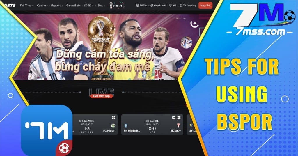 Tips for using BSpor
