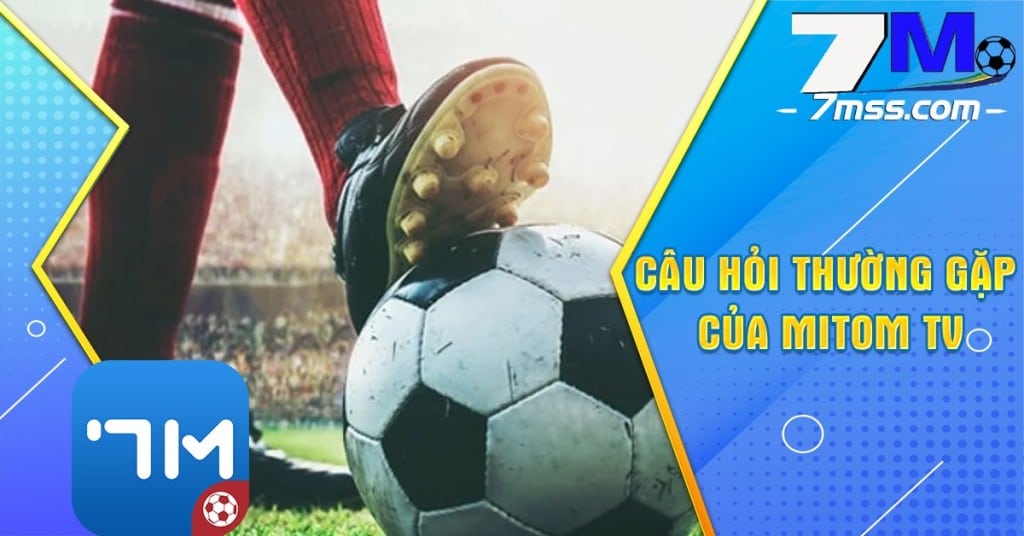 Câu hỏi thường gặp về Mi tom TV