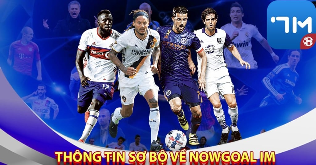 Thông tin sơ bộ về Nowgoal Im