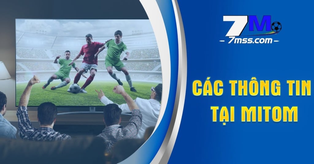 Các thông tin tại Mitom đầy đủ và đa dạng