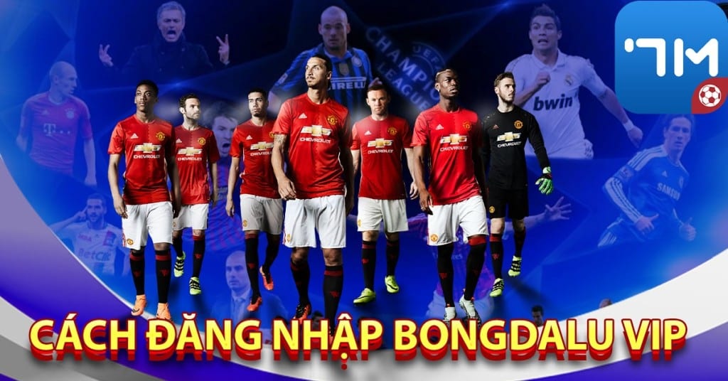 Hướng dẫn cách đăng nhập Bongdalu Vip
