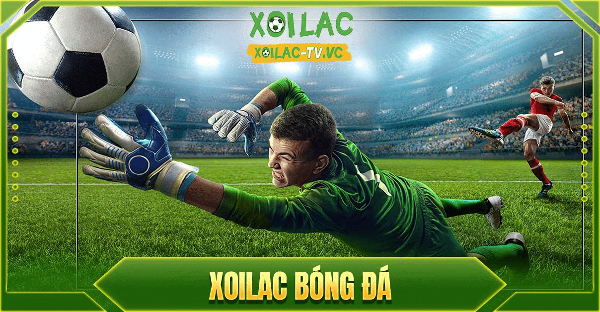 Người xem bong da đa quốc gia và giới tính