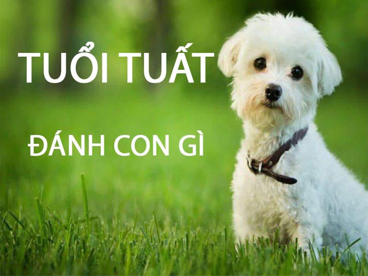 Tuổi tuất đánh con gì